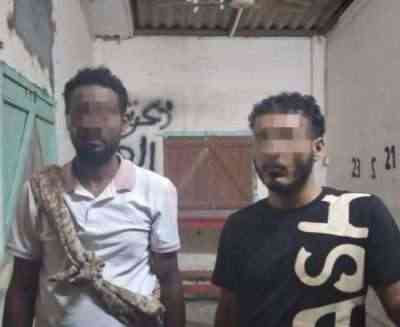 ضبط عدد من المطلوبين أمنيا في عدن
