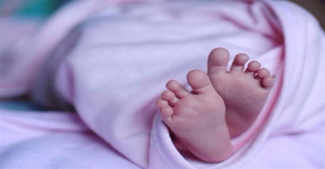 في جريمة مفزعة .. مواطن يقتل حفيديه أحدهما لم يولد بعد وأمهم في صنعاء