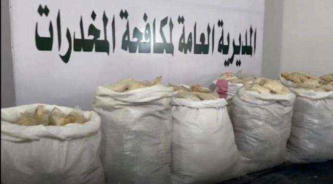 إحالة 14 متهم بترويج الحشيش والشبو إلى الجزائية
