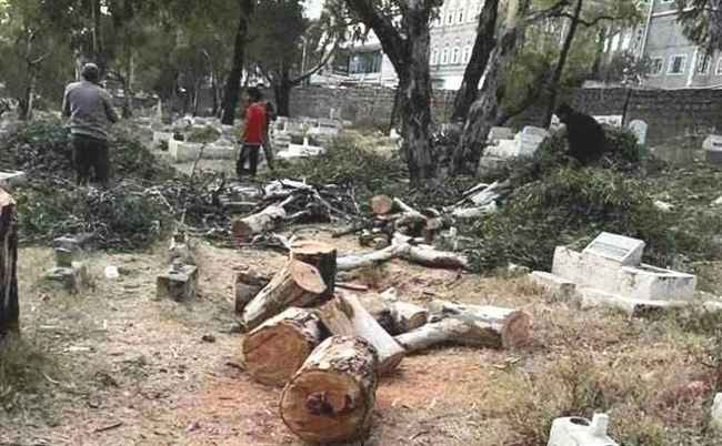 غلاء الأراضي في هذه المحافظة يغري قيادات حوثية بالبسط على المقابر