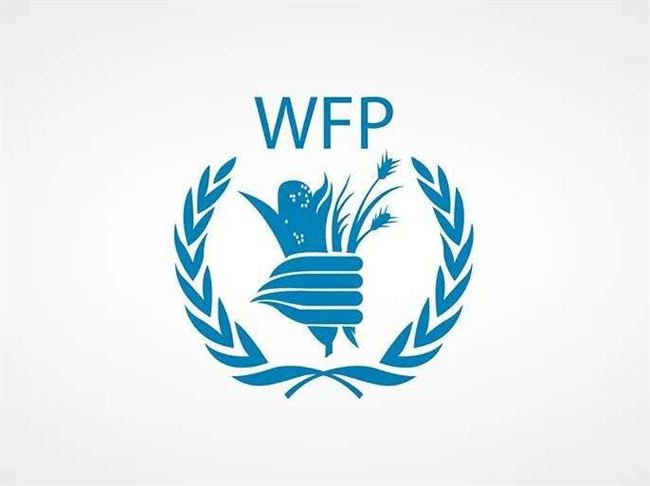الأغذية العالمي: هجمات الحوثي بالبحر الأحمر عطلت أنشطتنا الإنسانية في اليمن