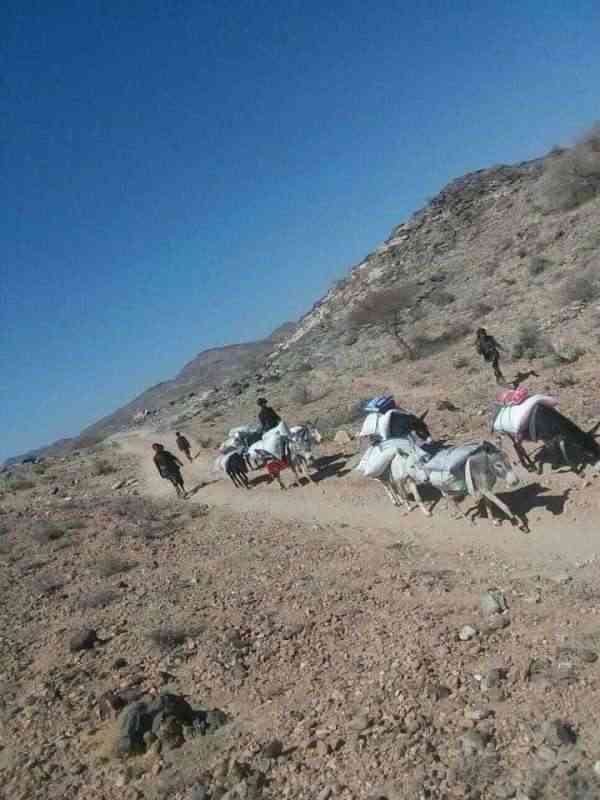 القبائل تتصدى لفساد الحوثيين في الجوف .. وحصار وتجويع يخنق البيضاء