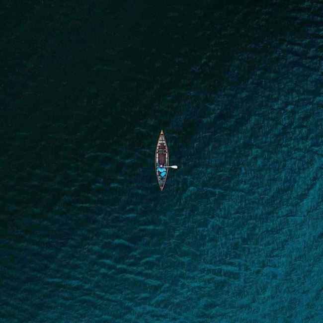 صياد يمني يحتضن دولفين وسط البحر وينشر صورة أثارت تفاعل واسع.. شاهد