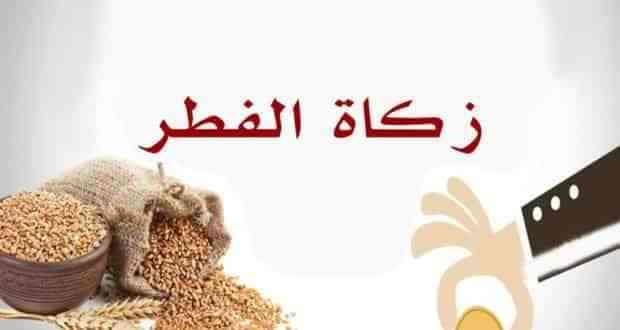 سلمان يوقع على تنفيذ زكاة الفطر لأكثر من 180 ألف فرد باليمن