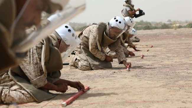 مشروع مسام يعلن هذه المنطقة مطهره بالكامل من الألغام في شبوة