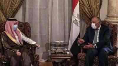 السعودية ومصر تدعوان إلى وقف إطلاق النار في غزة.. وجيش الإحتلال يعلن تمديد العملية العسكرية ليومين