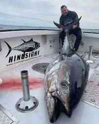 لأول مره في اليمن .. اصطياد سمك التونة العنيدة في المكلا  (صورة)