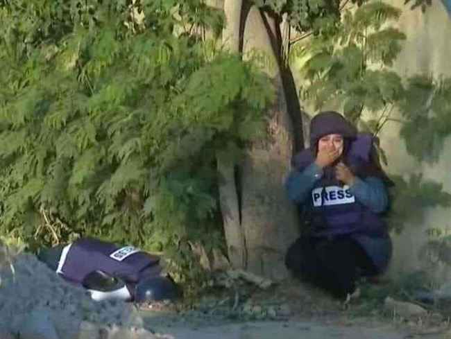 دار الإفتاء المصرية يحسم مسألة الترحم على شيرين أبو عقلة.. كشف دجل إخوان اليمن وفتاوى العديني