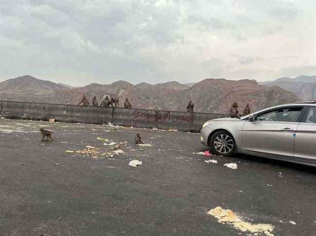 مدينة سعودية تتعرض للغزو  .. والأهالي يناشدون بالتحرك العاجل