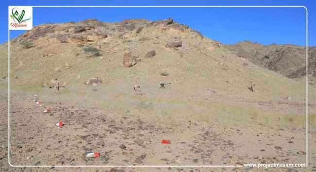 مسام ينزع أشواك إيران من 14 حقل في حريب مارب