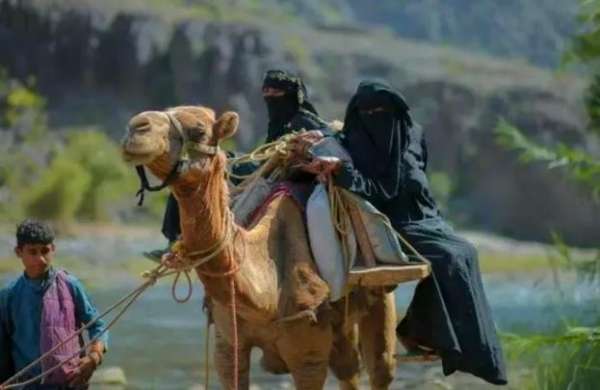 في اليمن.. مئات النساء الحوامل يركبن الجمال للوصول إلى المستشفى