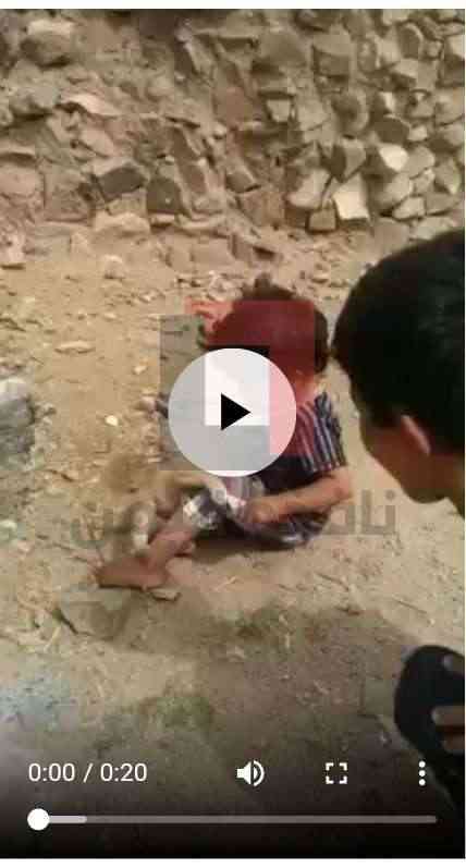 طفل يمني لم يتجاوز 2 يطبق قاعدة صحفية قديمة ويقوم بعض الكلب.. شاهد الفيديو