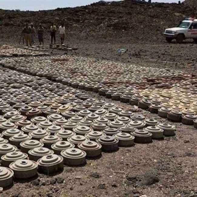 انتزاع 1167 لغم حوثي في الاسبوع الاخير من الشهر الجاري
