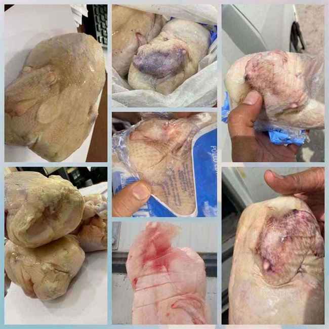 شاهد.. ضبط أكثر 4 ألف كرتون دجاج فاسد في ميناء عدن