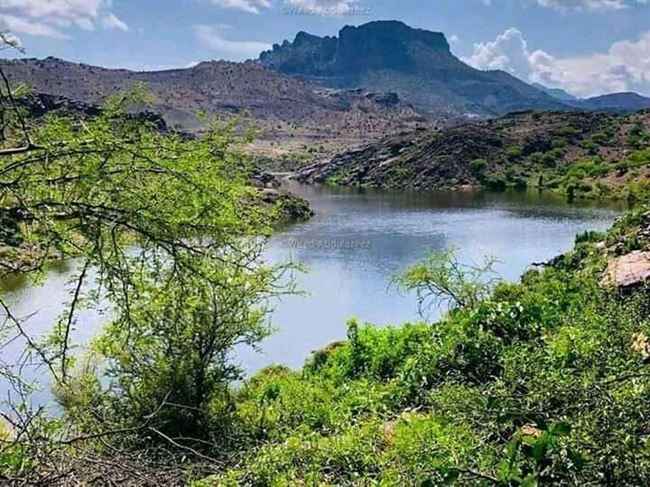 فاجعة وفاة 3 شابات في الضالع بحادثة أليمة