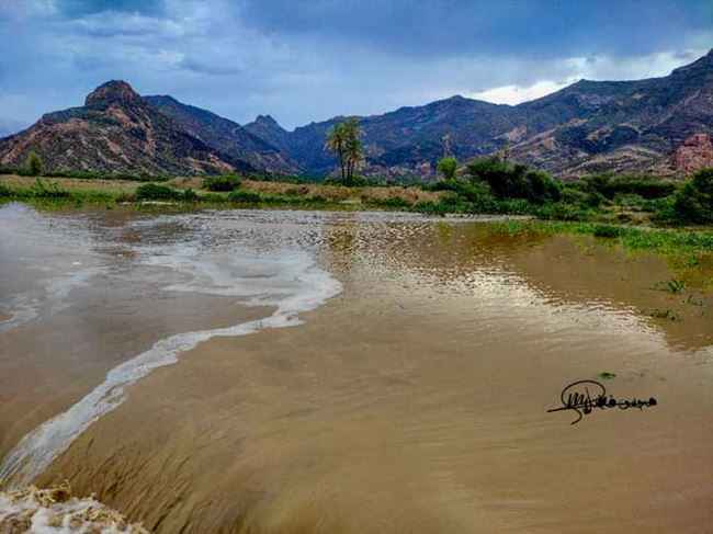سيول الأمطار الغزيرة تجرف مزارع واسعة ومنازل في أبين