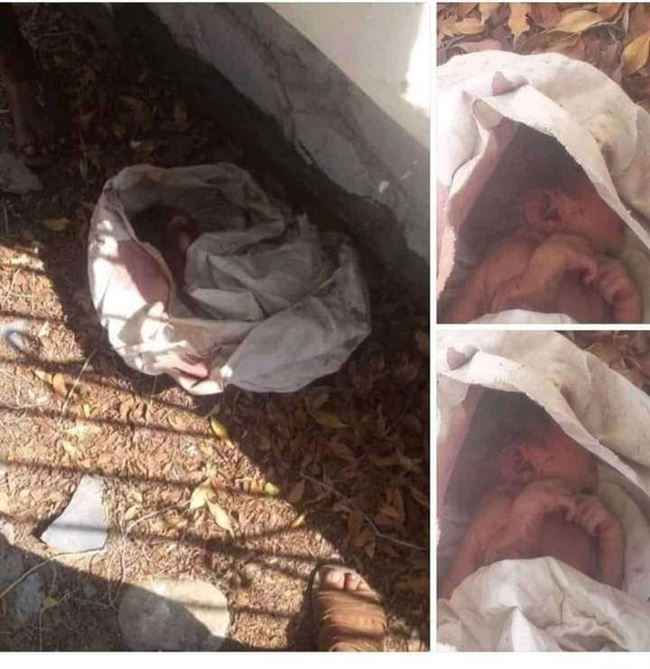 العثور على مولود داخل كرتون أمام مسجد وطفل آخر في عدن.. لماذا تتخلص عائلتهم منهم؟