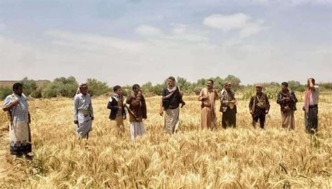الحوثي ينهب 1500 مزرعة من المواطنين في الجوف بطرق احتيالية جديدة.. احذروها