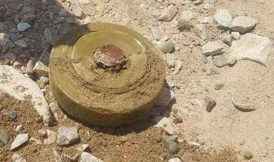 ألغام الحوثي تحصد ضحايا جدد في الساحل