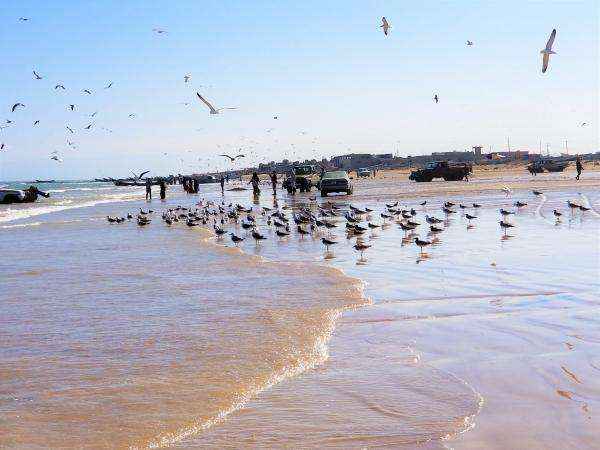 أجواء حارة وهطول أمطار.. أجواء اليمن في أول أيام العيد