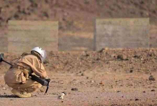 انتزاع أكثر من 1500 لغم للحوثيين خلال أسبوع