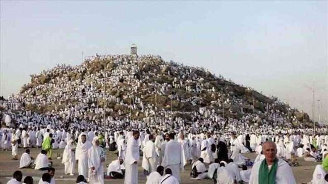 شاهد.. حجاج بيت الله الحرام يقفون بعرفة