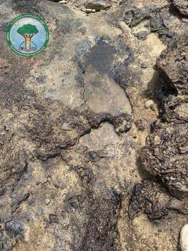 مؤسسة موانيء خليج عدن وحماية البيئة تناقش أخر مستجدات آثار غرق السفينة ( Dia )