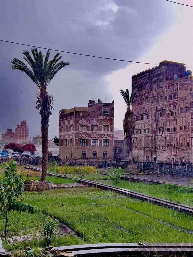 انطلاق حملة يمنية واسعة ضد الحوثيين بعد جرعة الجماعة.. 500 ريال أسقطت صنعاء