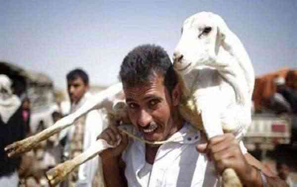 الحوثيون يمنعون توزيع أضاحي العيد للفقراء والمساكين
