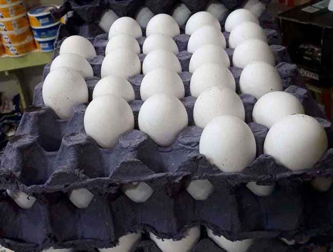 لن تصدق .. لأول مره في التأريخ سعر خيالي للحبه البيض بعدن