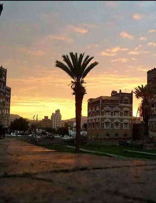 الجثث الحوثية تغطي شوراع صنعاء.. فيديو