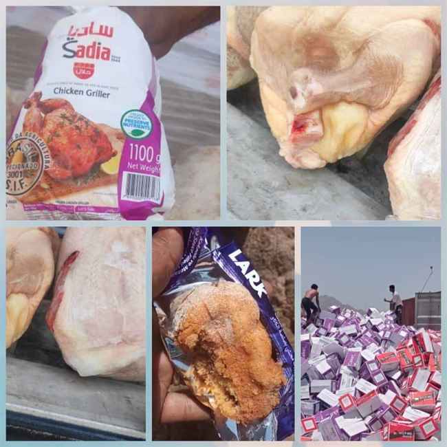 قبل دخولها لأهالي عدن .. ضبط دجاج مجمد خطير في ميناء عدن