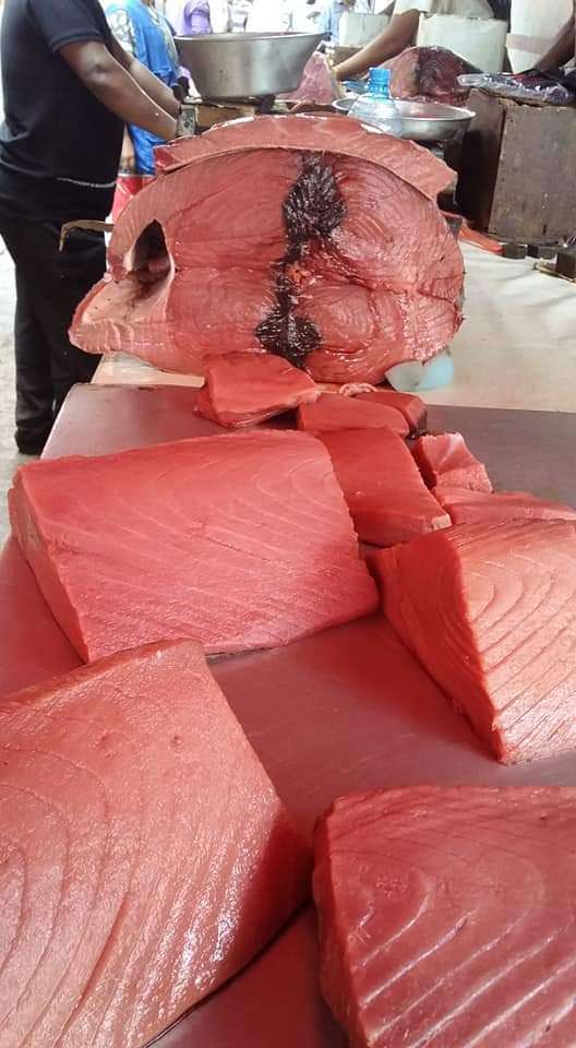 سفير اليمن في لندن .. سعر السمك في عدن أغلى من بريطانيا