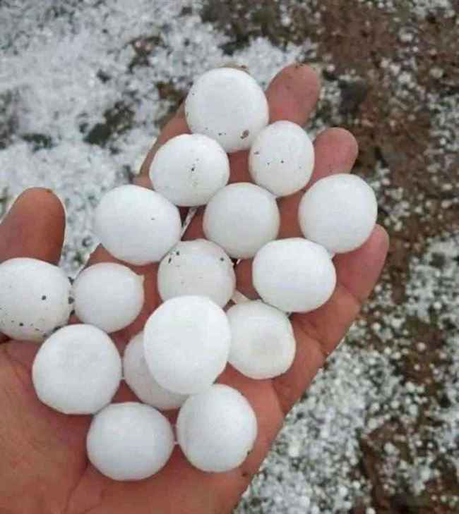 سقوط ثلوج بأحجام كبيرة في صنعاء.. غطت الشوراع لكثافتها (صور)