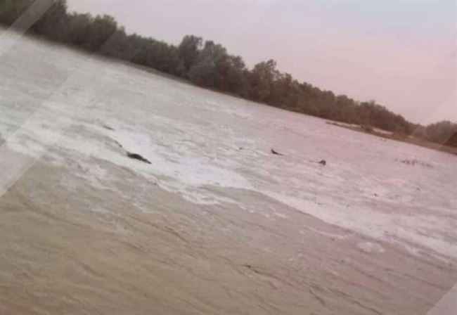 أمطار ورياح شديدة .. تعرف على أحوال الطقس خلال الساعات القادمة في اليمن