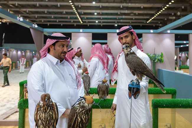 بمشاركة ١٦ دولة.. السعودية يطلق النسخة الثالثة من المزاد الدولي  لإنتاج مزارع الصقور