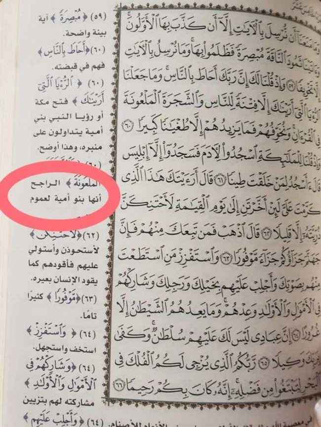 شاهد.. الحوثي يغرق صنعاء بمصاحف محرفة على النهج الشيعي