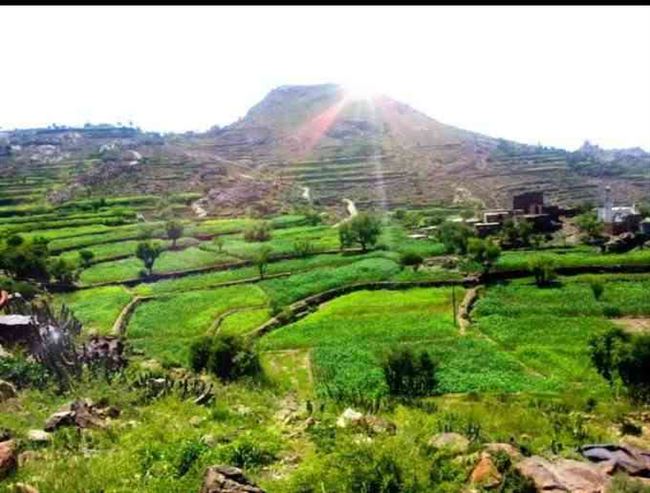 وفاة 4 فتيات غرقا في سدود الضالع