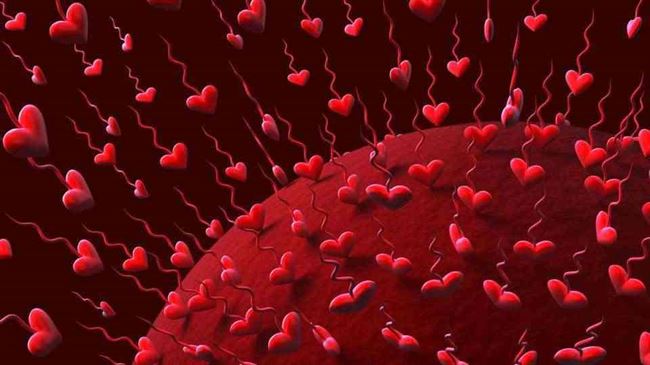 كورونا يخرج من جسدك ويترك قلبك أليماً