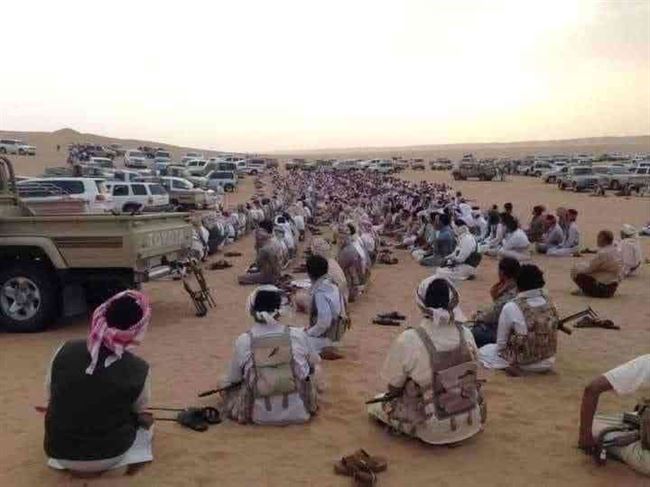 كبرى قبائل شبوة تخوض اشتباكات مع ألوية الإخوان في شبوة.. تدمير عربات وآليات قتالية