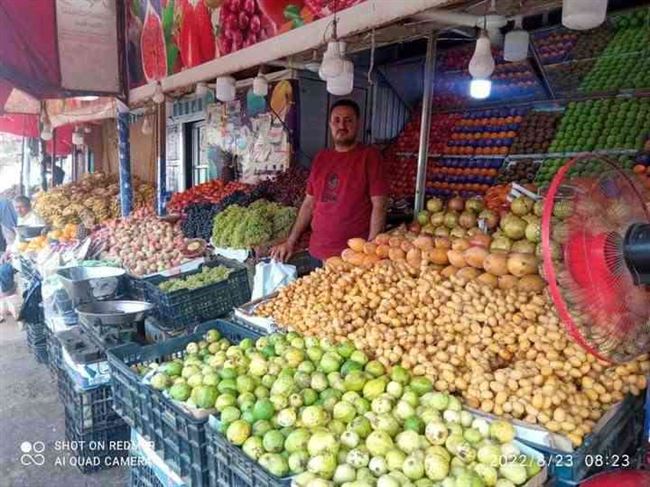 أسعار الفواكه والخضروات اليوم الأحد 4 سبتمبر