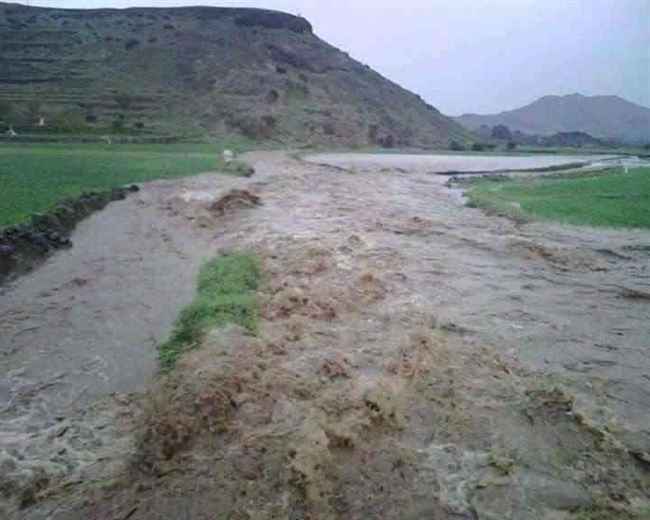 بالصور .. سيول الأمطار تخرج كنوز ثمينة من تحت الأرض في الجوف
