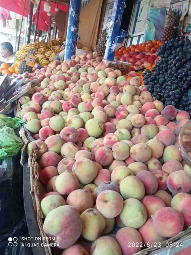 أسعار الفواكه والخضروات اليوم السبت 10 سبتمبر