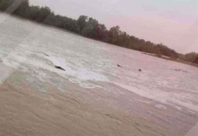 أمطار ستغطي معظم محافظات يمنية خلال الساعات القادمة