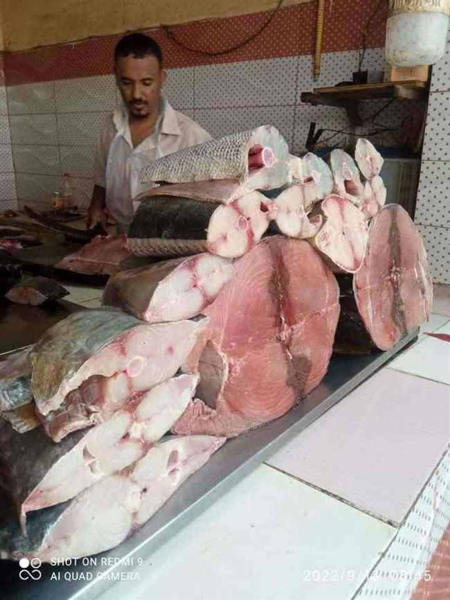 انخفاض أسعار الأسماك صباح اليوم الثلاثاء في عدن