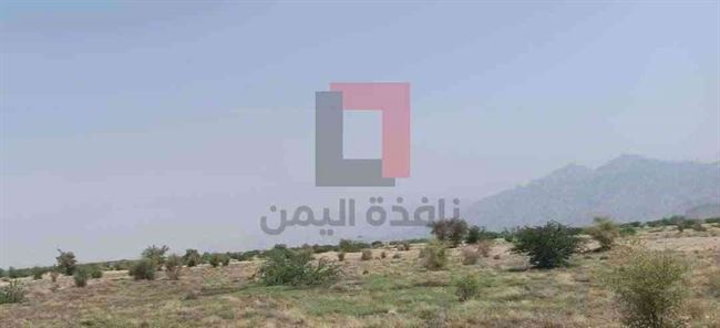القوات المشتركة تكسر هجوم جديد على حيس واندلاع اشتباكات عنيفة