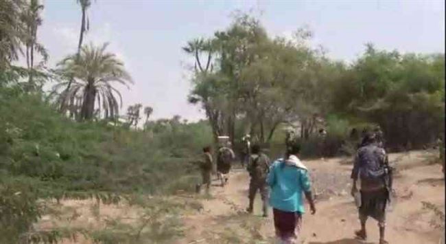 بالفيديو.. تطهير مناطق واسعة في الدريهمي من بؤر الحوثيين