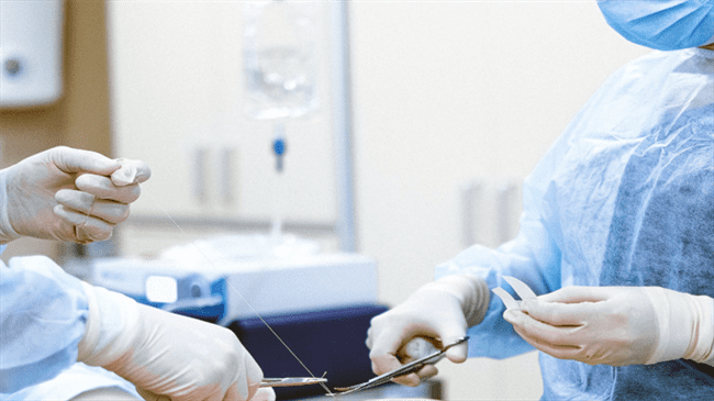 جراحون أمريكيون يختبرون بنجاح زرع كلى خنزير في مريض بشري