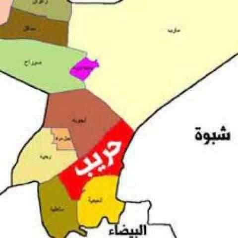 العقيلي يكشف أسباب سقوط حريب وتحركات صغير بن عزيز التي أفشلها المحسوبين على الأحمر 