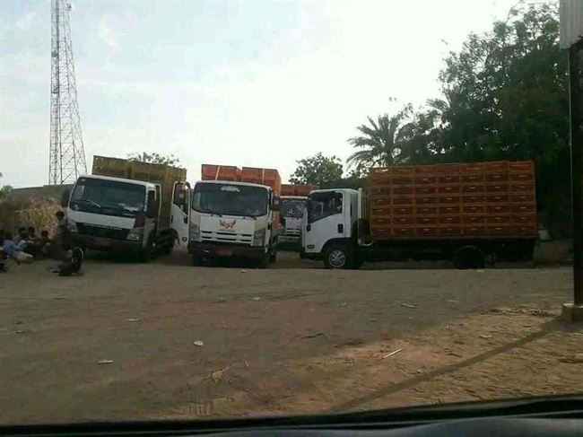 حصار اقتصادي مستمر .. الحوثيون يمنعون البيض والدجاج عن المناطق المحررة